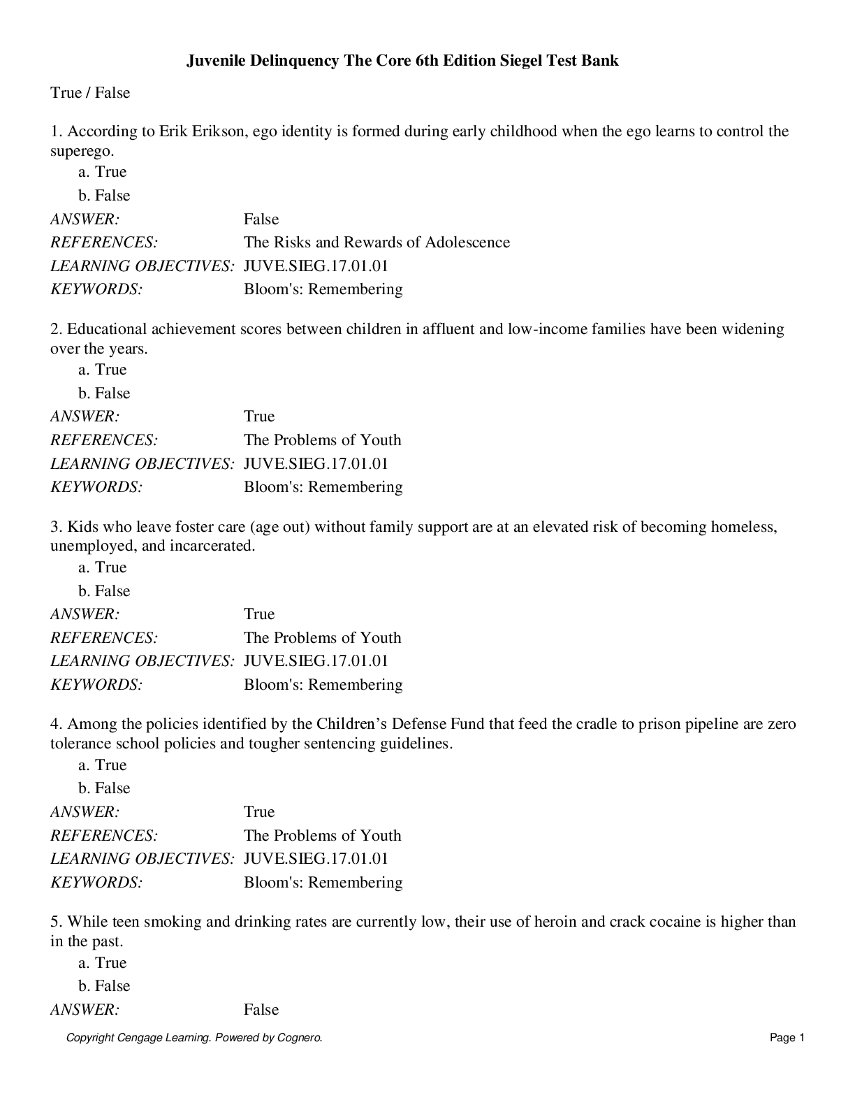 Preview image for Juvenile Delinquency The Core 6th Edition Siegel Test Bank